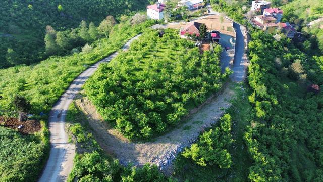 Trabzon'da Satılık Arsa 3