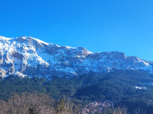 Kar Emlaktan Akçatekir Ardiç Arasında 303m2 Satılık Arsa 5