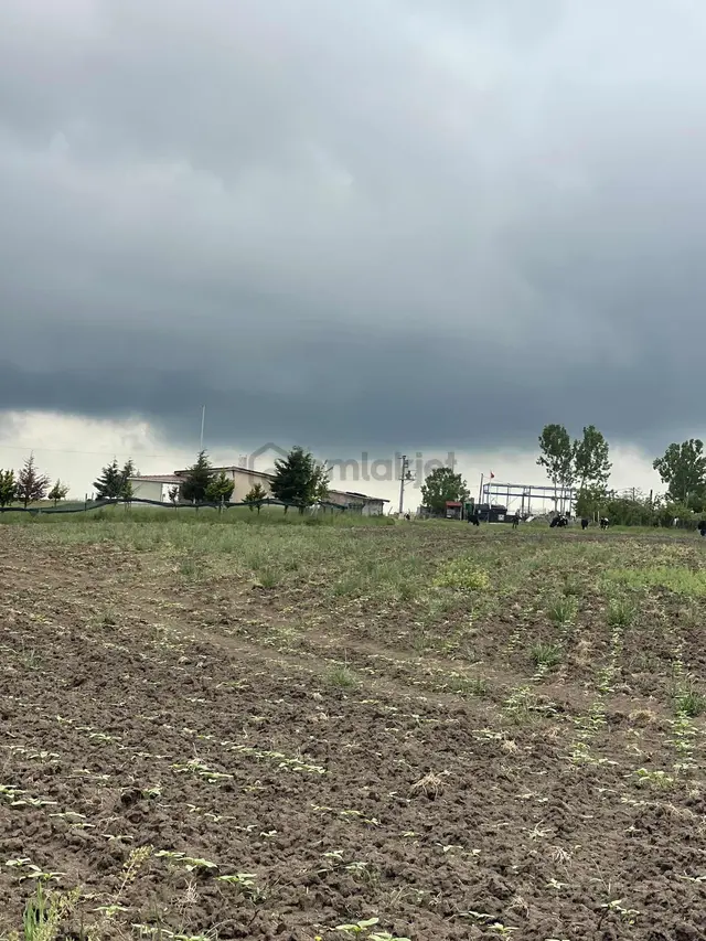 Delfa Yapı İnşaat Tan Kızılpınar Da 7.118m2 İmara Yakın 2