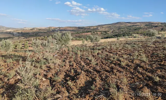 Aktif Gayrimenkul'den Acil Satılık Yatırımlık Arazi... 3