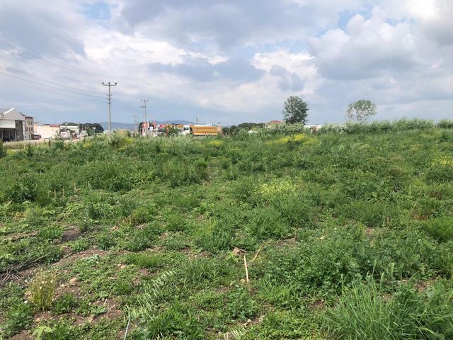 Cb King'den Gönen/kurtuluş Mahallesi 5222m² Satılık Ticari Arsa 4