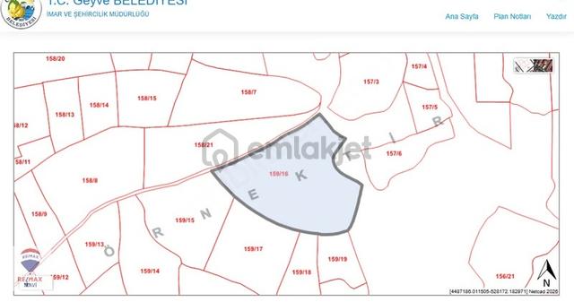 Remax Mavi Mertcan'dan İmara Yakın Satılık Zeytinlik 3