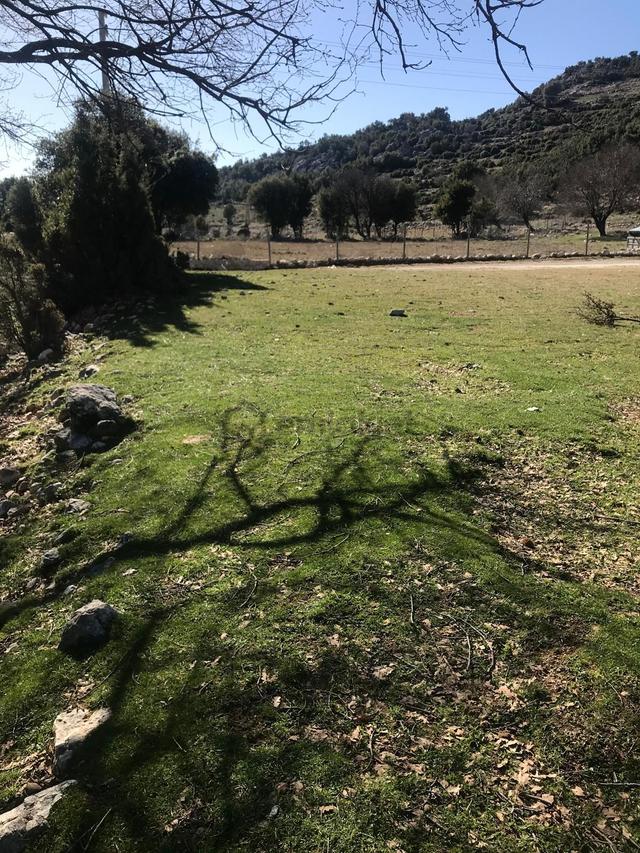 Stop’tan Karaağaçta 963m² Tarla 4