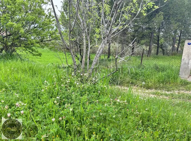 Kemalpaşa Aşağı Kızıca'da Satılık 23.680m² Arazi 5