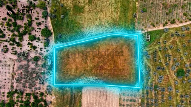 Kemalpaşa Mehmet Akif Ersoy Satılık 7.443m2 Bahçe 4