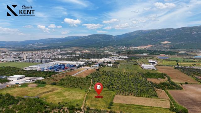 Kemalpaşa Mehmet Akif Ersoy Satılık 7.443m2 Bahçe