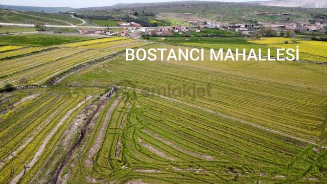 Balıkesir Gönen Bostancı Mahallesi Satilik Çeltik Tarlası 5