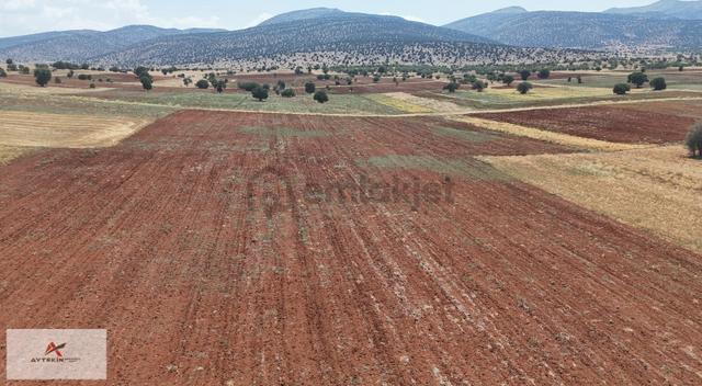 Akören / Ağalar Mahallesinde 6.721 M² Müstakil Tapulu Tarla 1
