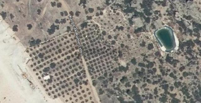 Satılık Silifke Kargıcak Köyü 10.607 M² Zeytin Bahçesi 5