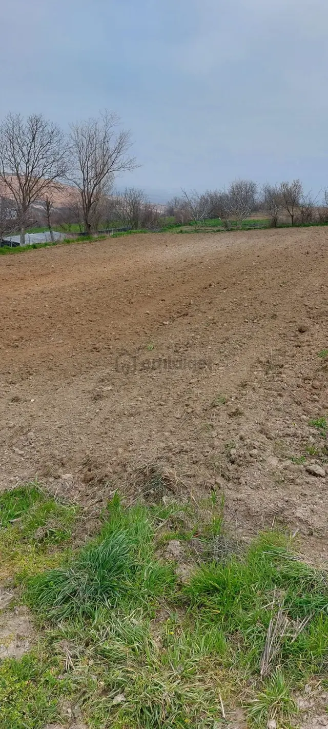 Kestel Soğuksu Köyünde Sahibinden Imar Dıbı Yatırılmık Tarla 3