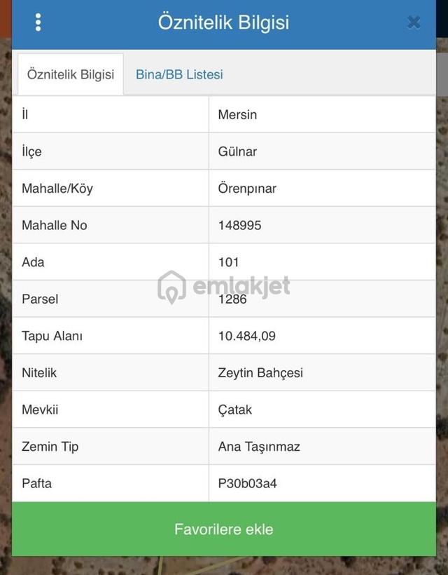 Örenpınarda Satılık Toplamı 13.000 M2 Zeytin Bahçesi 3