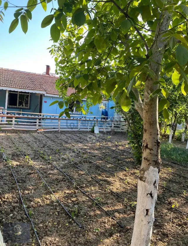 Çorlu Havuzlar 395m2 Arsaiçinde 2014 Yapım Satılık Müstakil Ev 4