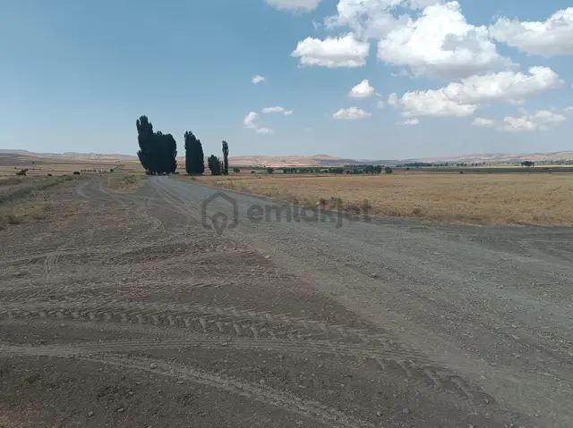 Sahibinden Satılık 12 Dönüm Tarla 3