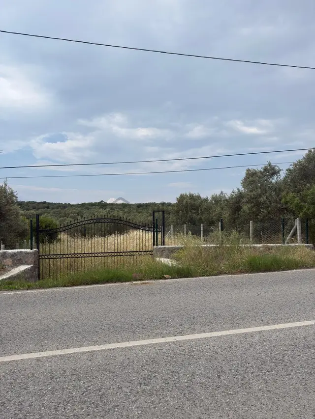 Saadet Korkmaz'dan Bademli'de İmara Komşu Satılık 1700 M2 2