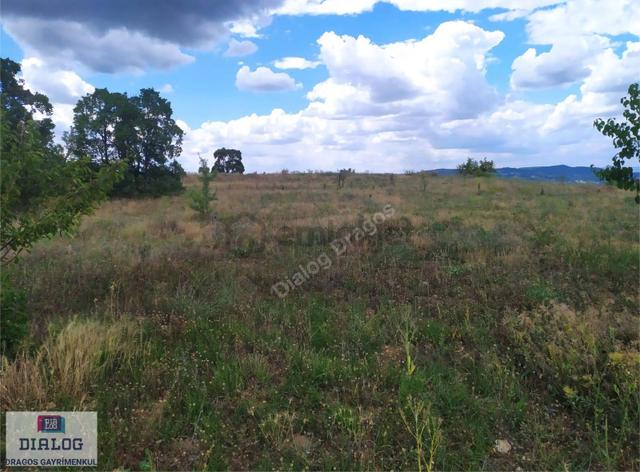 Kütahya Şaphanede 14505 M2 Kadastral Yolu Olan Yerlesıme Yakın 3