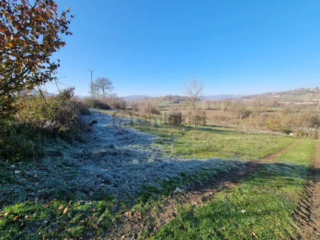 Akgün Kurumsal'dan Kavak'da Satılık Fırsat 5411 M2 Tarla 1