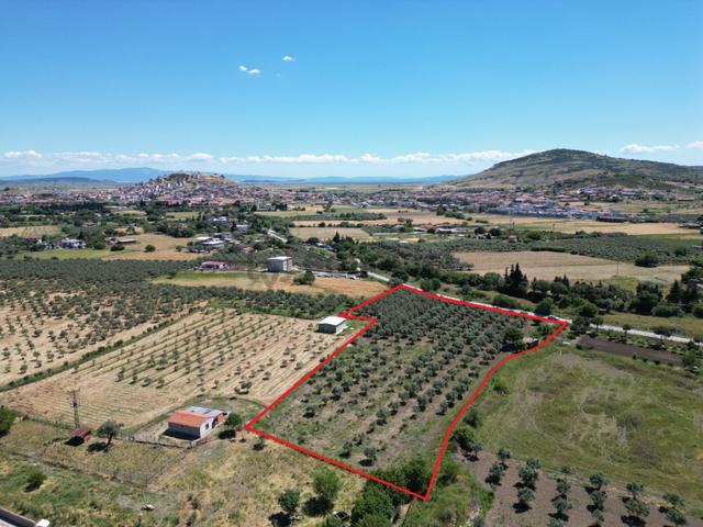 Bağarası'nda Asfalt Yola 100 Metre Cepheli İmara 500 Metre Mesafede Satılık Tarla 2