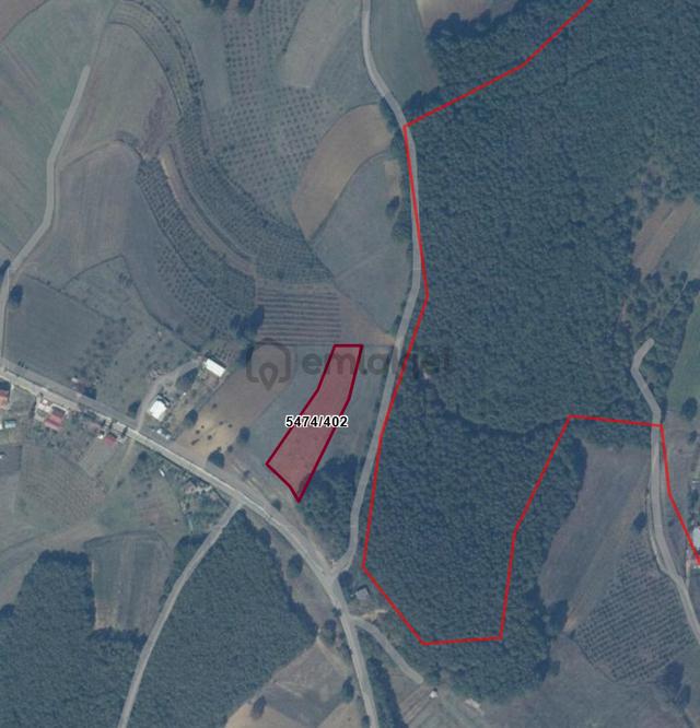 Adapazarı Karadavutlu'da Yatırımlık 4370m2 Arazi 4