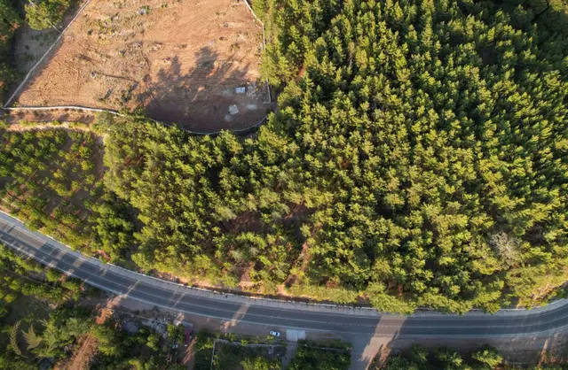 Nif Köyünde "kendi Ormanınızın Sahibi Olun" 2