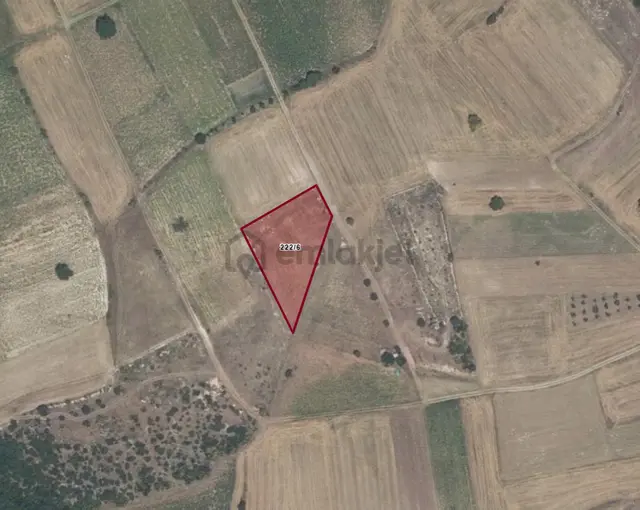 Bursa Yenişehir Çiçeközü 2500 M² Tek Tapu, Resmi Yol Ve Su 3