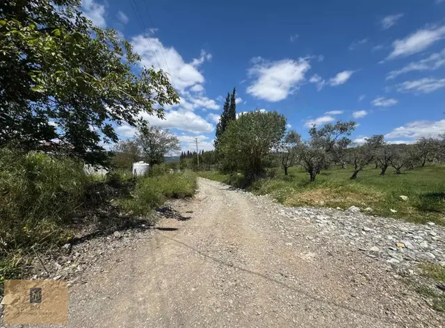 Yeşilyurt'ta Yatırımlık 8.100 M2 Fırsat Arazi 2