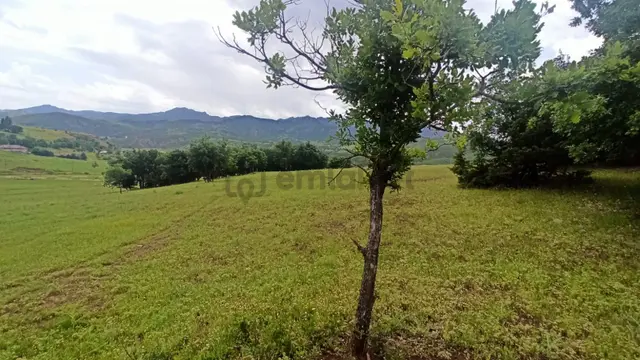 Tunceli'de Ana Yola Yakın / İnşaata Uygun Arsa Fırsatı 3