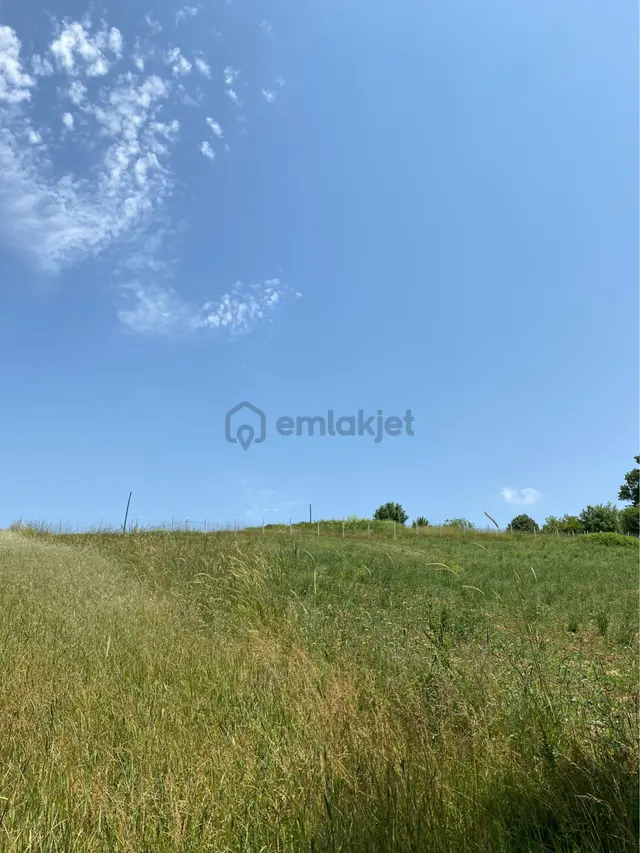 Çavuslu Da Satılik Tarla 3