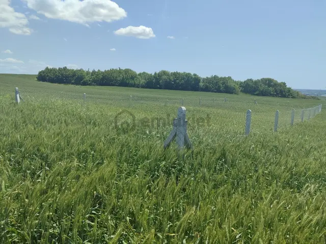 Kırklareli Vize Evrenli Mahalle Dibi 275 M² Tarla Kırklareli Vize Evrenli Mahalle Dibi 275 M² Tarla