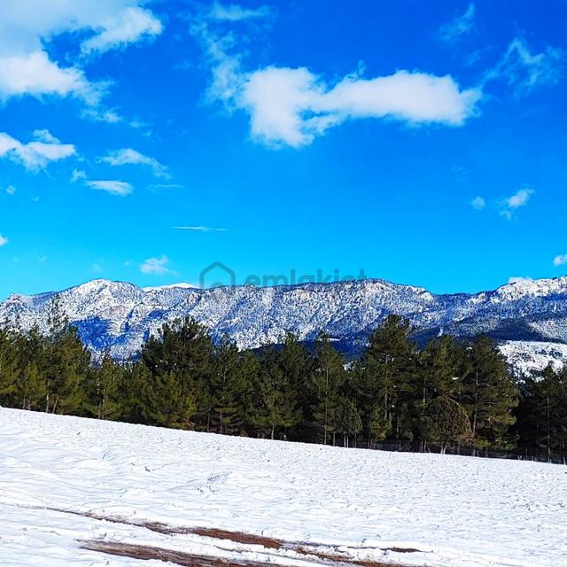Kar Emlaktan Yenikonacık Kırıntı Mevkiinde 4500m2 Satılık Arsa 4