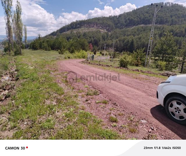 Kastamonu -tosya Kargın Köyü'nde Satılık Tarla 4