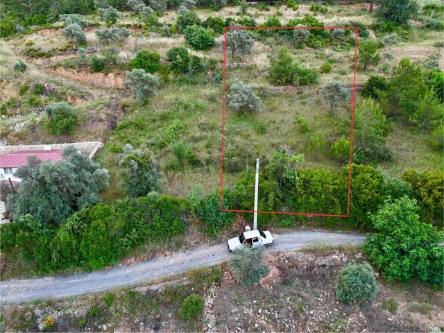 1270m² Zeytinköy’de Gökova’ya Yakın Yatırımlık Premium Tarla 3