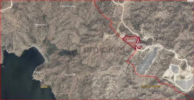 Yeşilköyde Satılık 53.605 Dönüm Zeytinlik 3