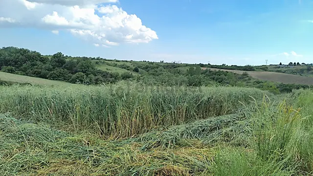 Acil Kapaklı Bahceal Mh. 1820m2 Arazi 3
