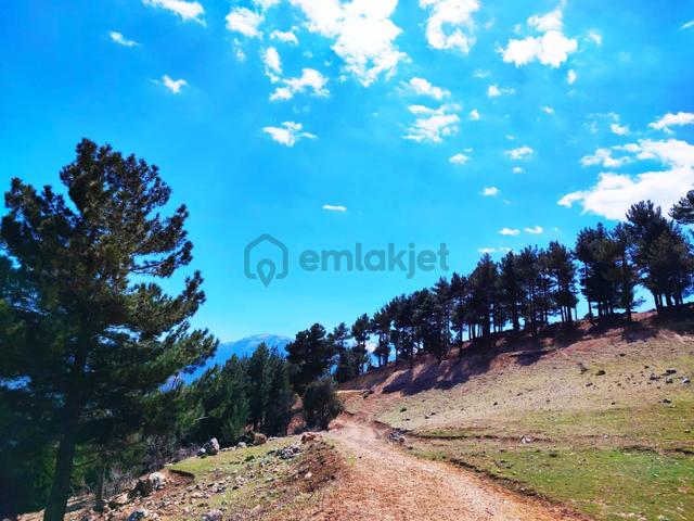 Kar Emlaktan Yenikonacık Bozkırlı Mevkiinde 430 M2 Satılık Arsa 5