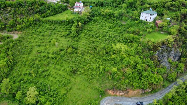 Trabzon Maçka'da Satılık Arazi 4