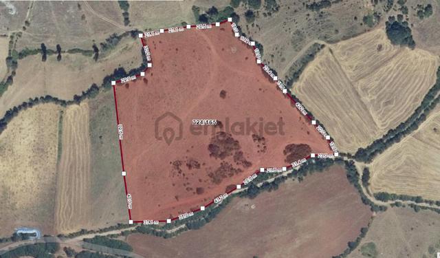 Balıkesir Sındırgı Osmanlar'da Yola Cephe 26.814m2 Fırsat Tarla 3