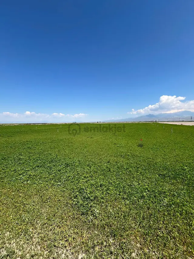 Öz Gaye Emlaktan Develi Sindelhöyük Köyönü Kavurt Mevkinde Satılık Tarla 2