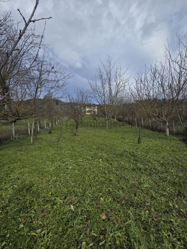 Sakarya Geyve 1400 M2 Villa 4