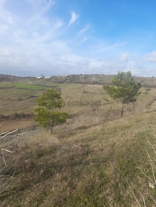 Kocaeli Kandıra Akıncılar %5 İmarlı Satılık Arsa 5
