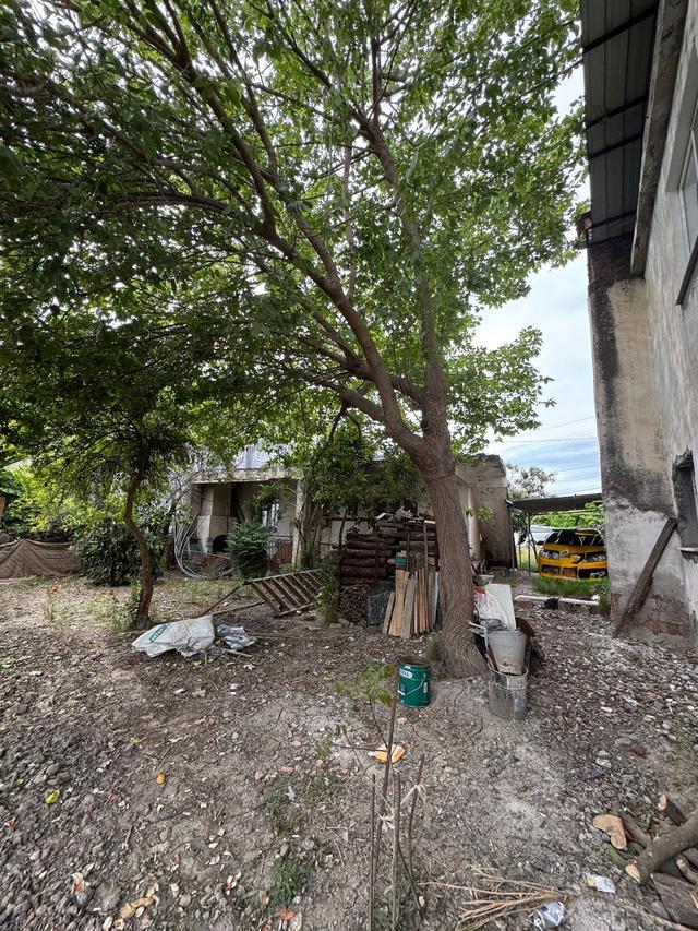 Muğla Dalaman Gürköy'de Satılık Müstakil Köy Evi & Arsa 4