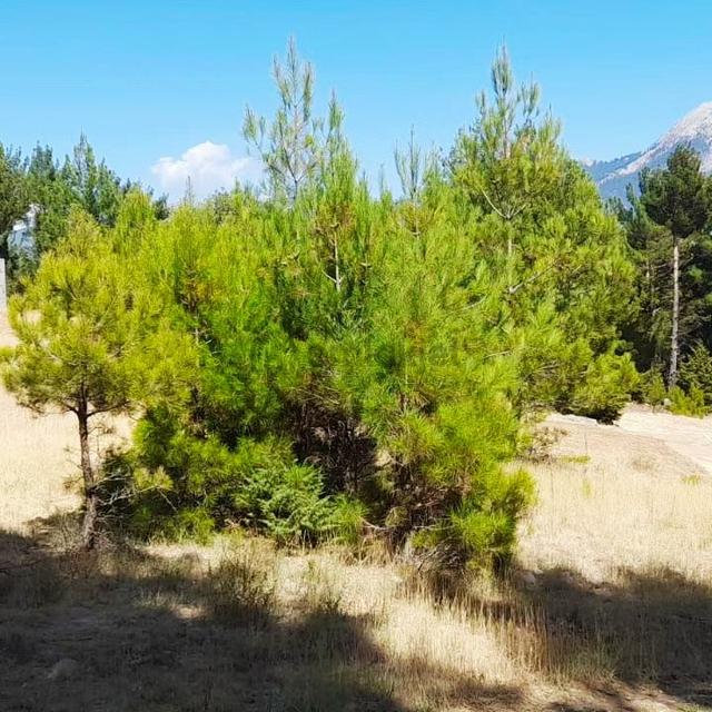 Kar Emlaktan Yenikonacık Körmenlik Mevkiinde 445m2 Satılık Arsa 4