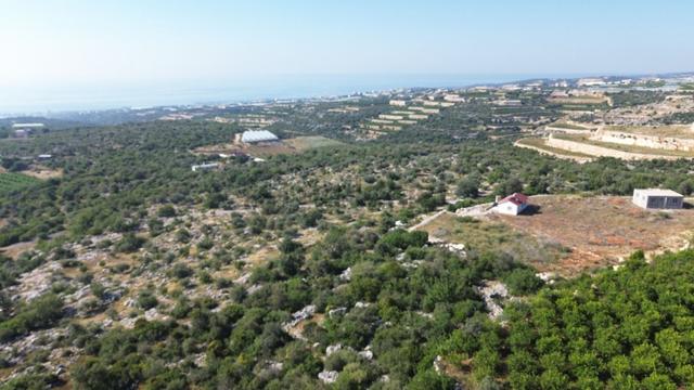 Erdemli Koyuncu Mah. Satılık 1500 M2 Arsa 5