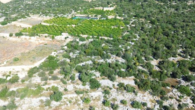 Erdemli Koyuncu Mah. Satılık 1500 M2 Arsa 3