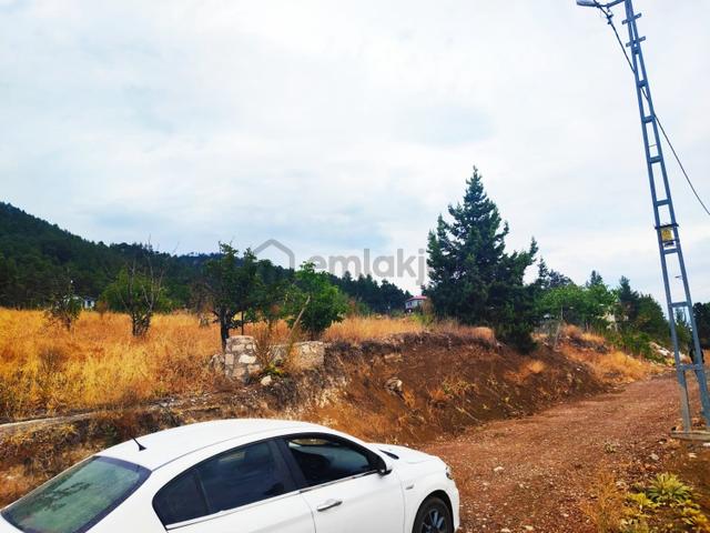 Kar Emlaktan Fındıklı Yaylasında 800m2 Satılık Arsa 4