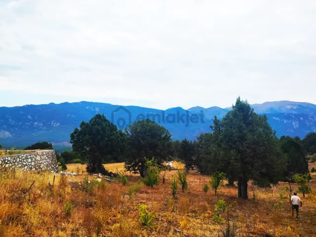 Kar Emlaktan Fındıklı Yaylasında 800m2 Satılık Arsa 3