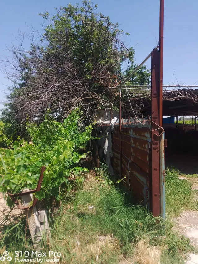 Konum Emlaktan Kiralık Çiftlik Evi-üzüm Bağı-bahçe Ve Hayvan Bakım Çiftliği 2