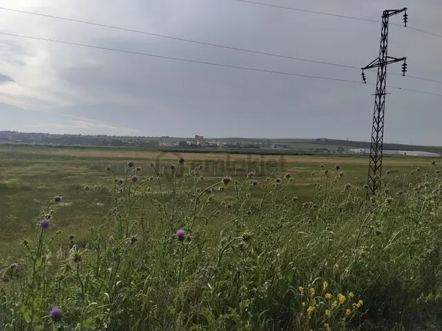 Tekirdağ Marmara Ereğlisi Çeşmeli'de Acil Satılık Tek Tapu Arsa 4
