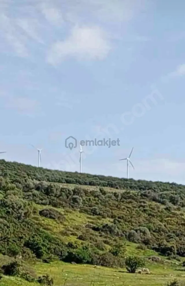 Arga'dan Didim Akyeniköyde 374m2 Satılık Arsa 3