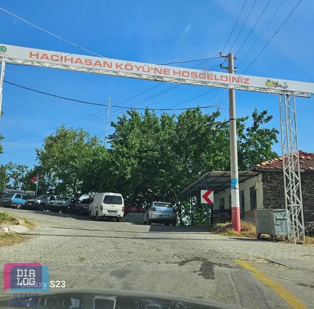 Fırsat Birgi Yakınında 9.578 M² Tek Tapu Ceviz & Kestane Bahçesi 3
