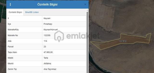 Duru Team - Kaynarda Geniş Meraya Cephe Su Kenarı 47.065m² Tarla 4